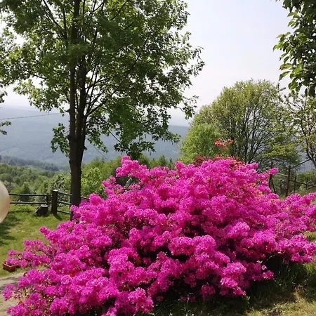 Bed and Breakfast La Casa Di Piero *